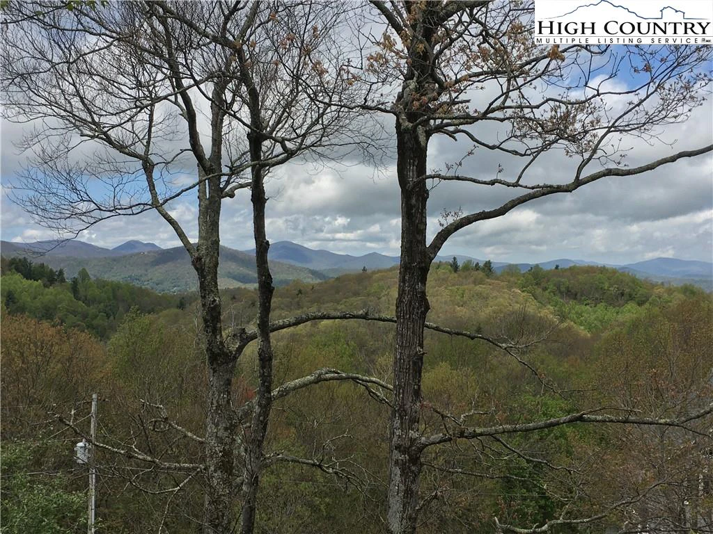 Image number 3 for the current listing
