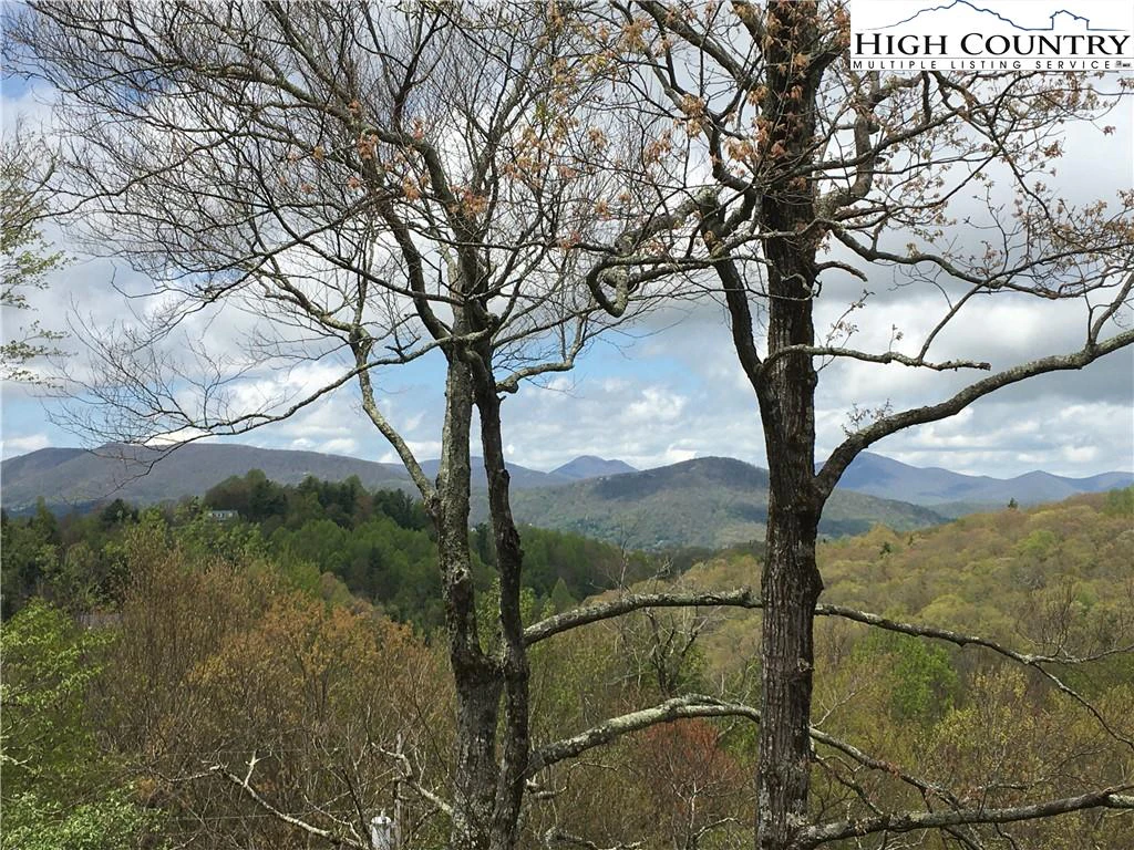 Image number 4 for the current listing