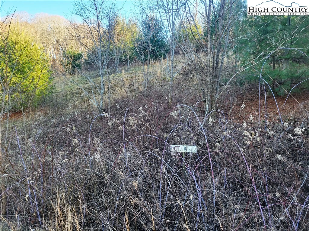 Image number 1 for the current listing