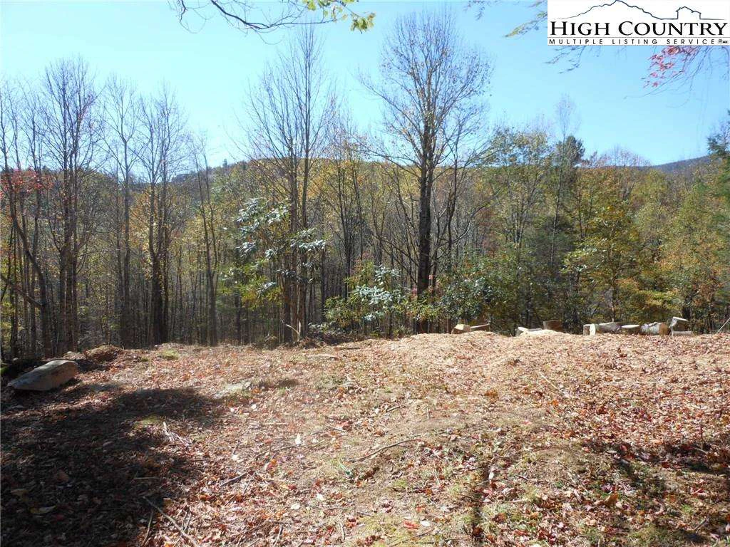 Image number 1 for the current listing