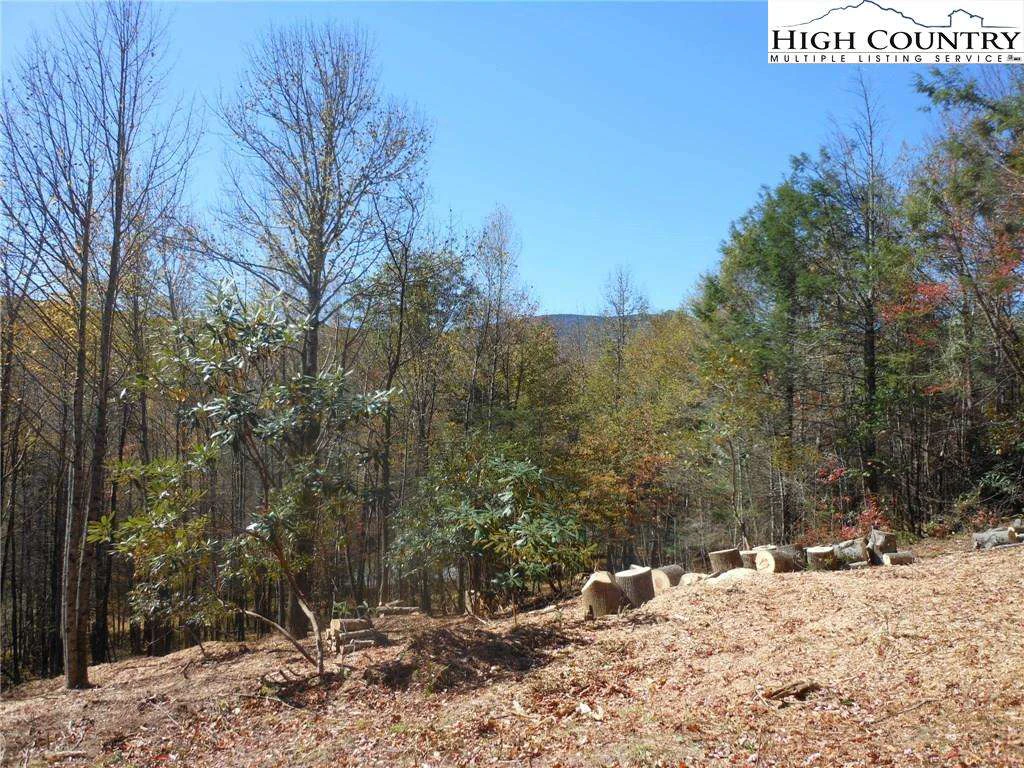Image number 6 for the current listing