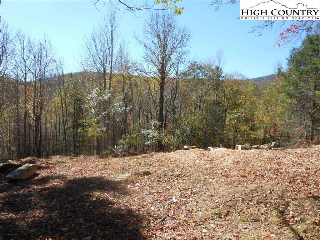 Image number 5 for the current listing