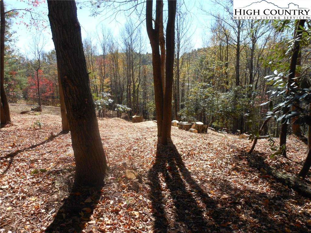 Image number 4 for the current listing