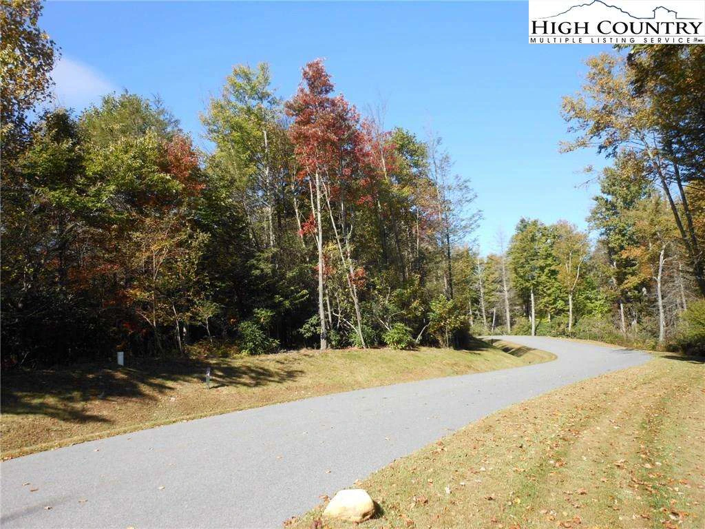Image number 3 for the current listing