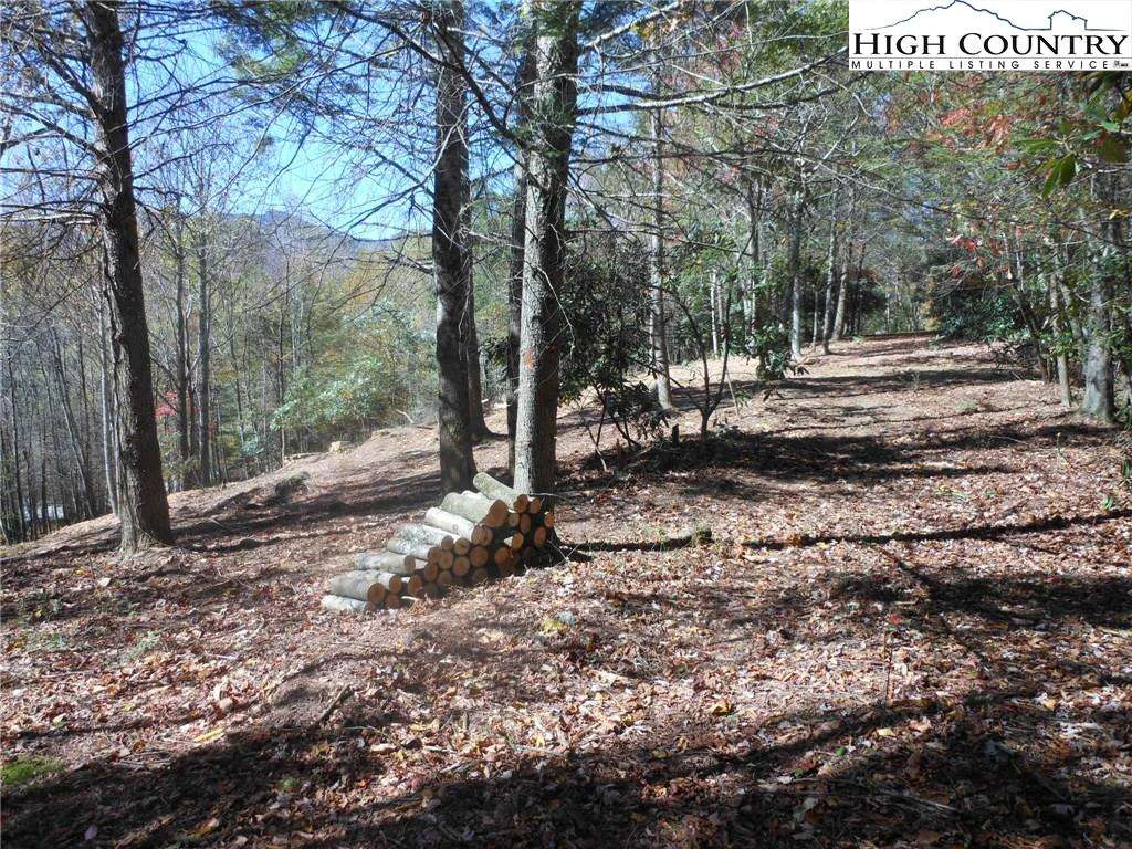 Image number 2 for the current listing