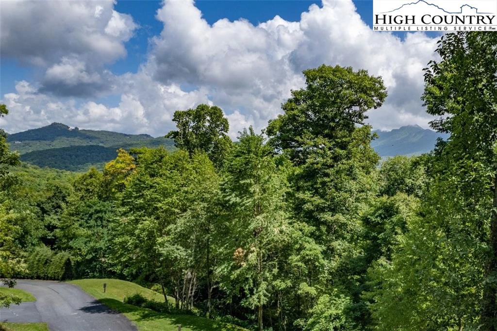 Image number 2 for the current listing