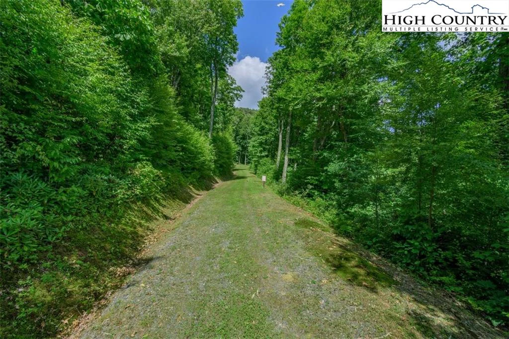 Image number 14 for the current listing