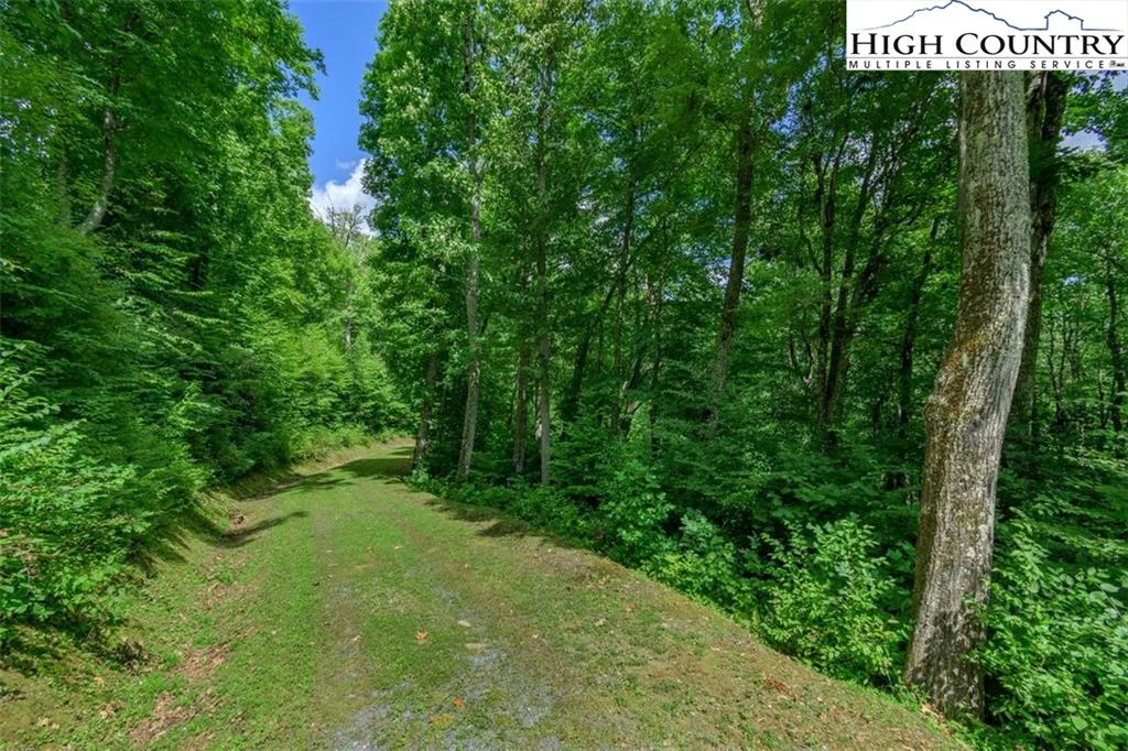 Image number 18 for the current listing
