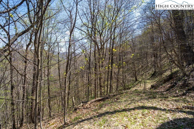 Image number 18 for the current listing