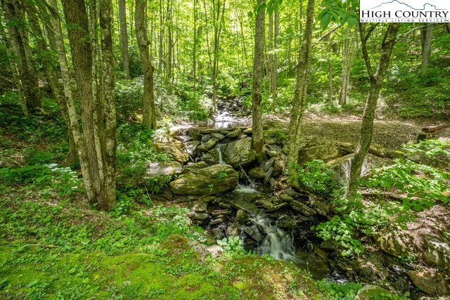 Image number 12 for the current listing