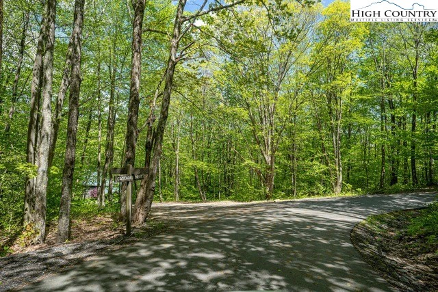 Image number 2 for the current listing