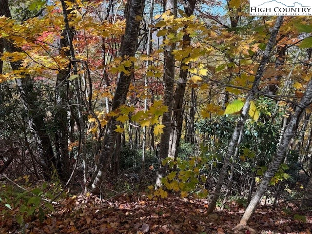 Image number 1 for the current listing