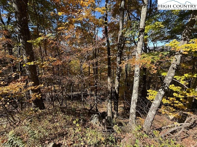 Image number 5 for the current listing