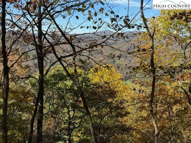 Image number 9 for the current listing