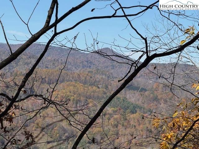 Image number 11 for the current listing