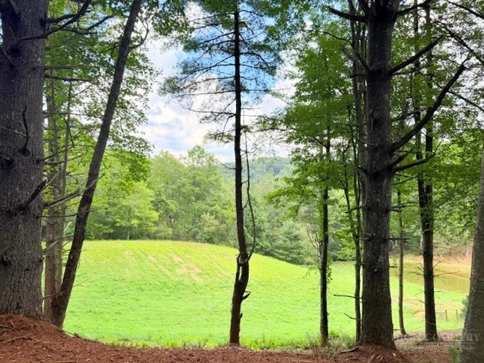 Image number 2 for the current listing