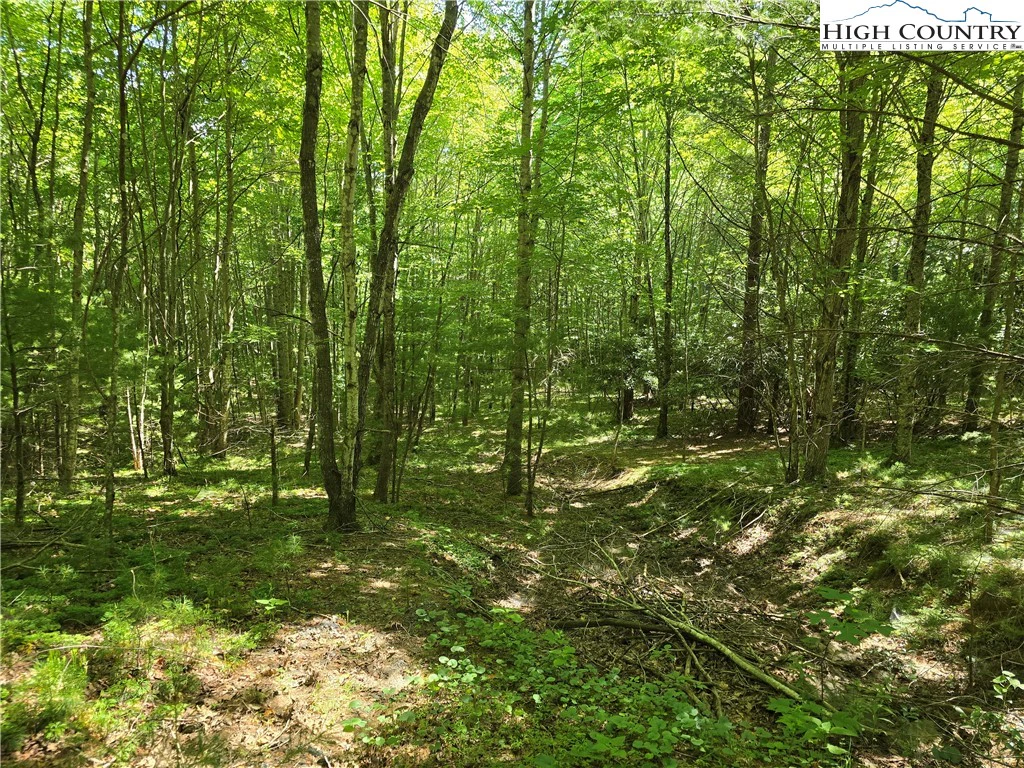 Image number 1 for the current listing