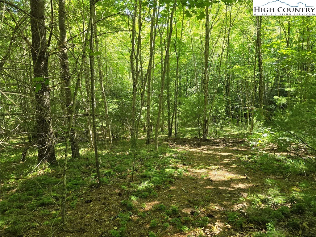Image number 3 for the current listing