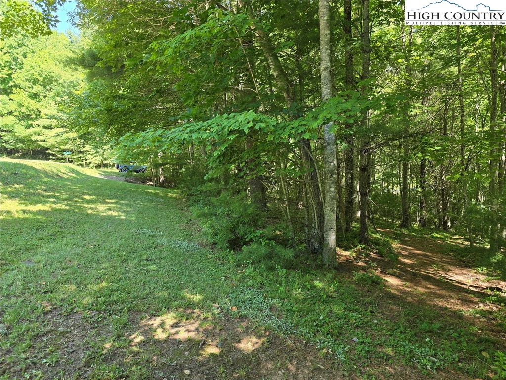 Image number 5 for the current listing