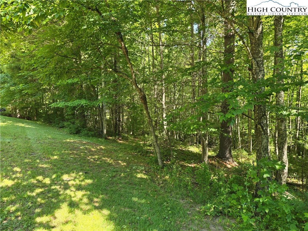 Image number 6 for the current listing