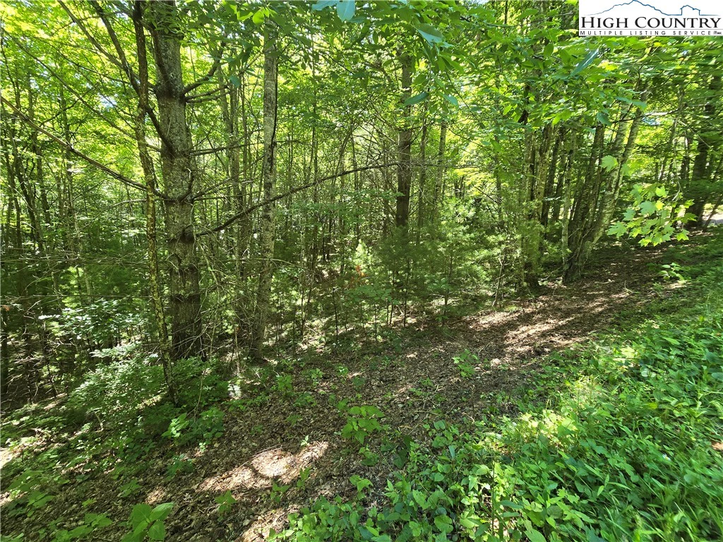 Image number 7 for the current listing