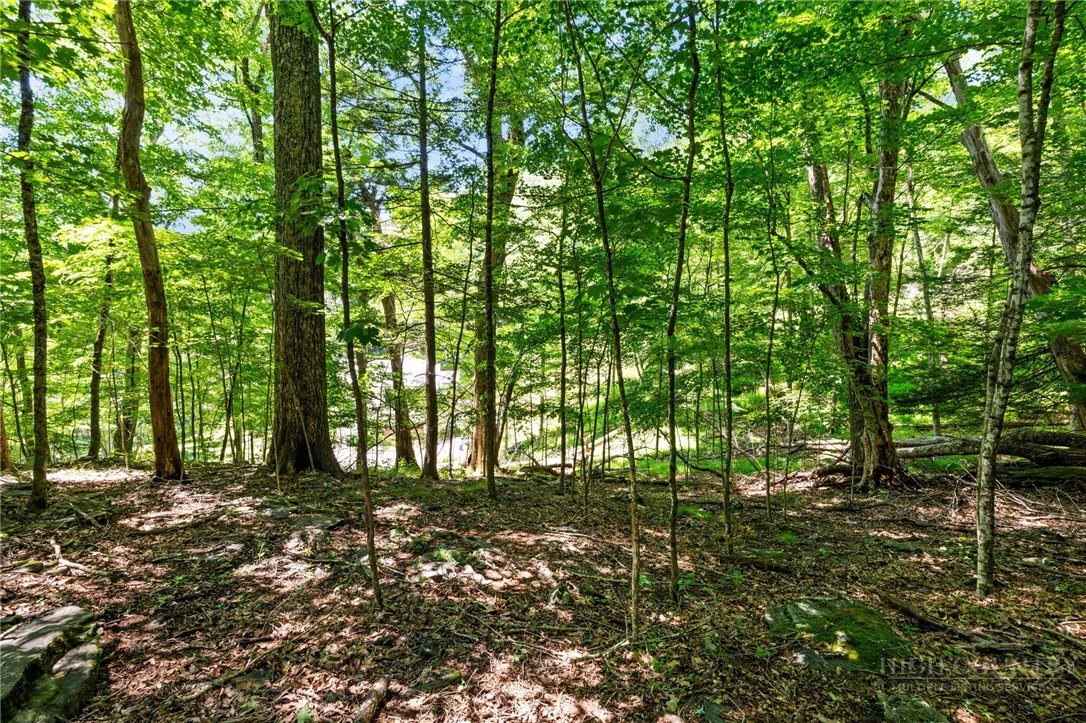 Image number 1 for the current listing