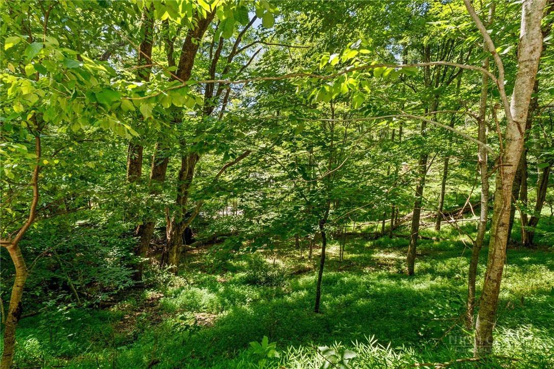 Image number 5 for the current listing