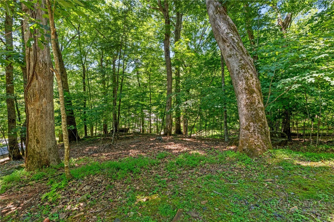 Image number 6 for the current listing