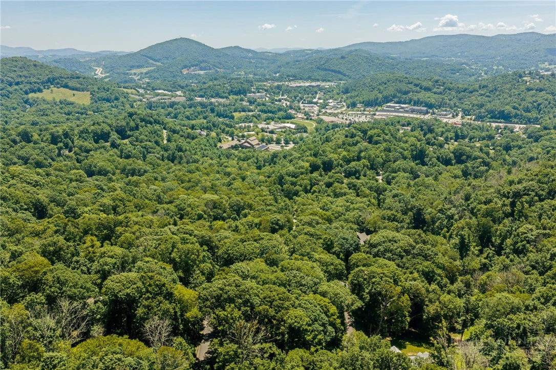 Image number 3 for the current listing