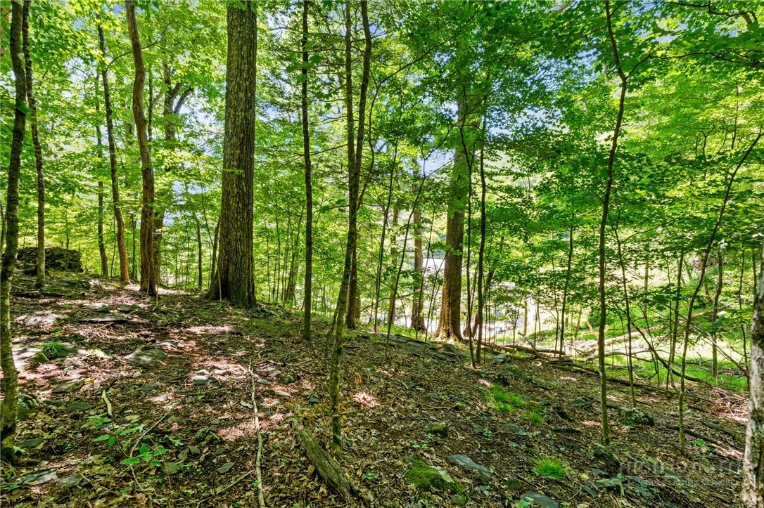 Image number 9 for the current listing