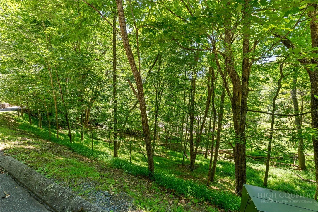 Image number 10 for the current listing