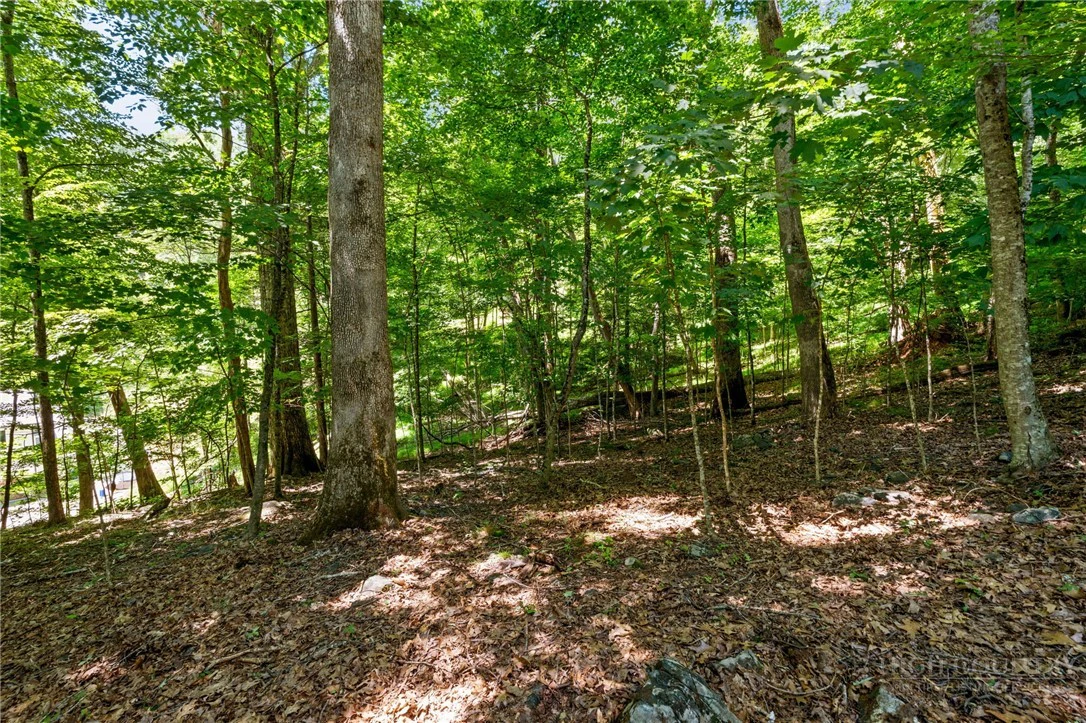 Image number 11 for the current listing