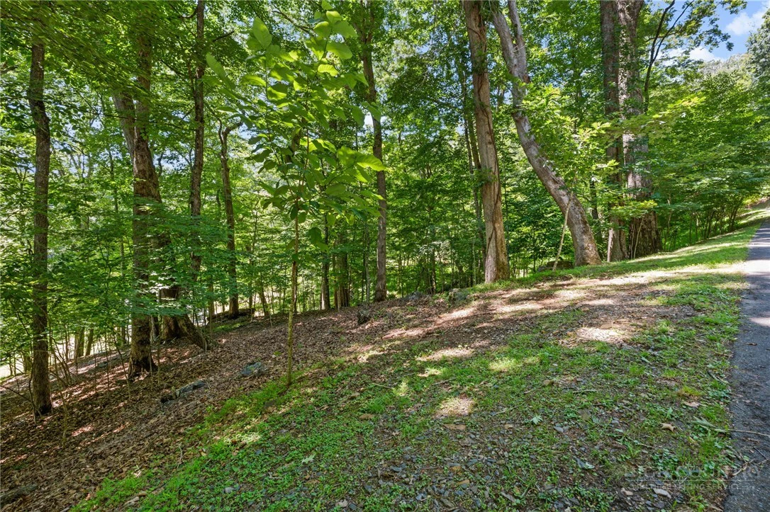 Image number 12 for the current listing