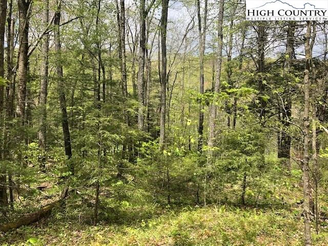 Image number 1 for the current listing