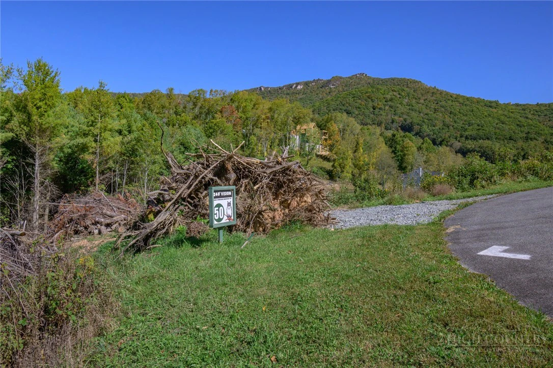 Image number 1 for the current listing
