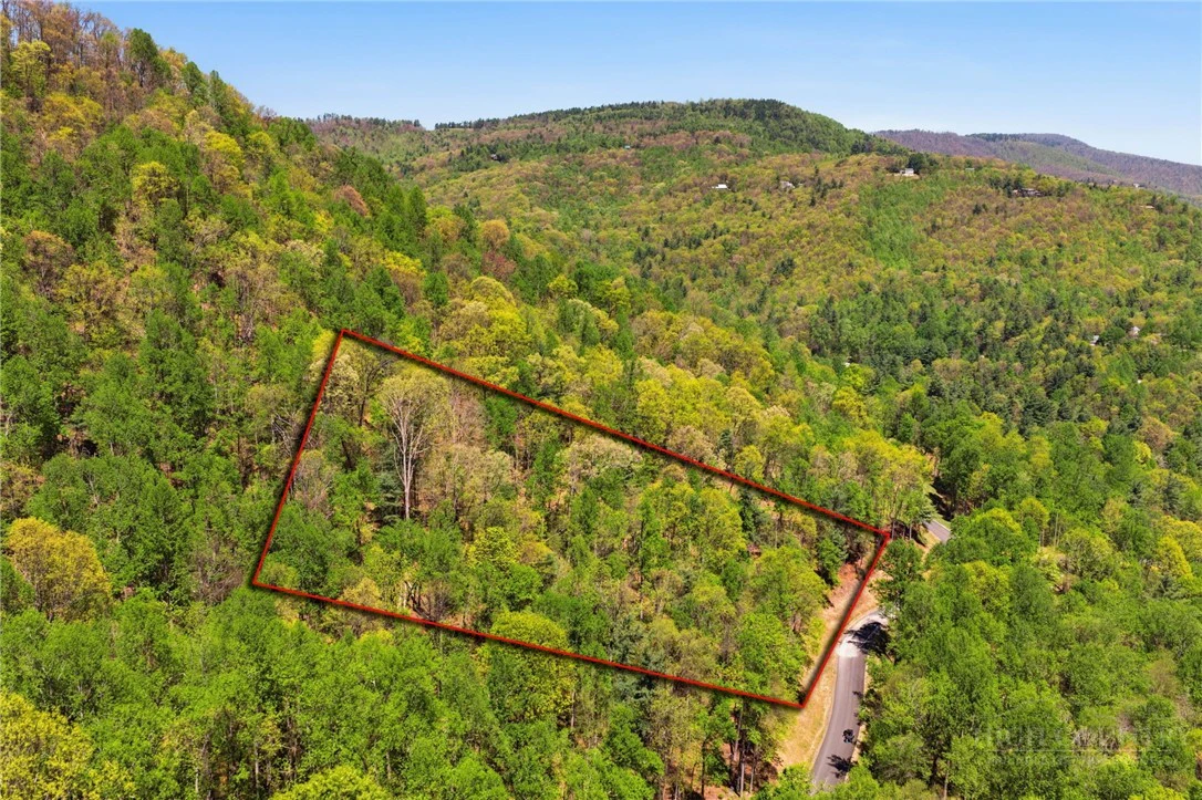 Image number 15 for the current listing