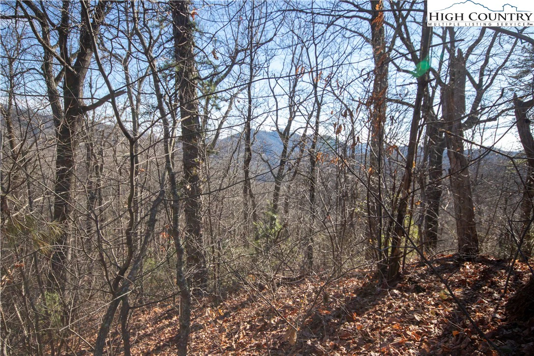 Image number 7 for the current listing