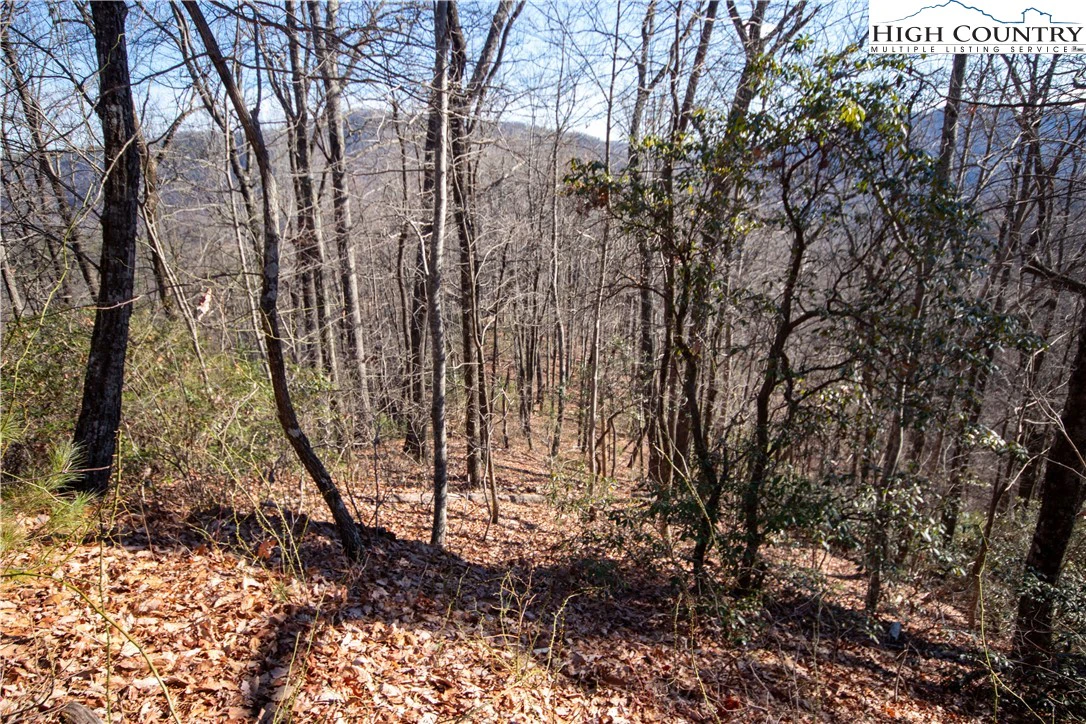 Image number 9 for the current listing