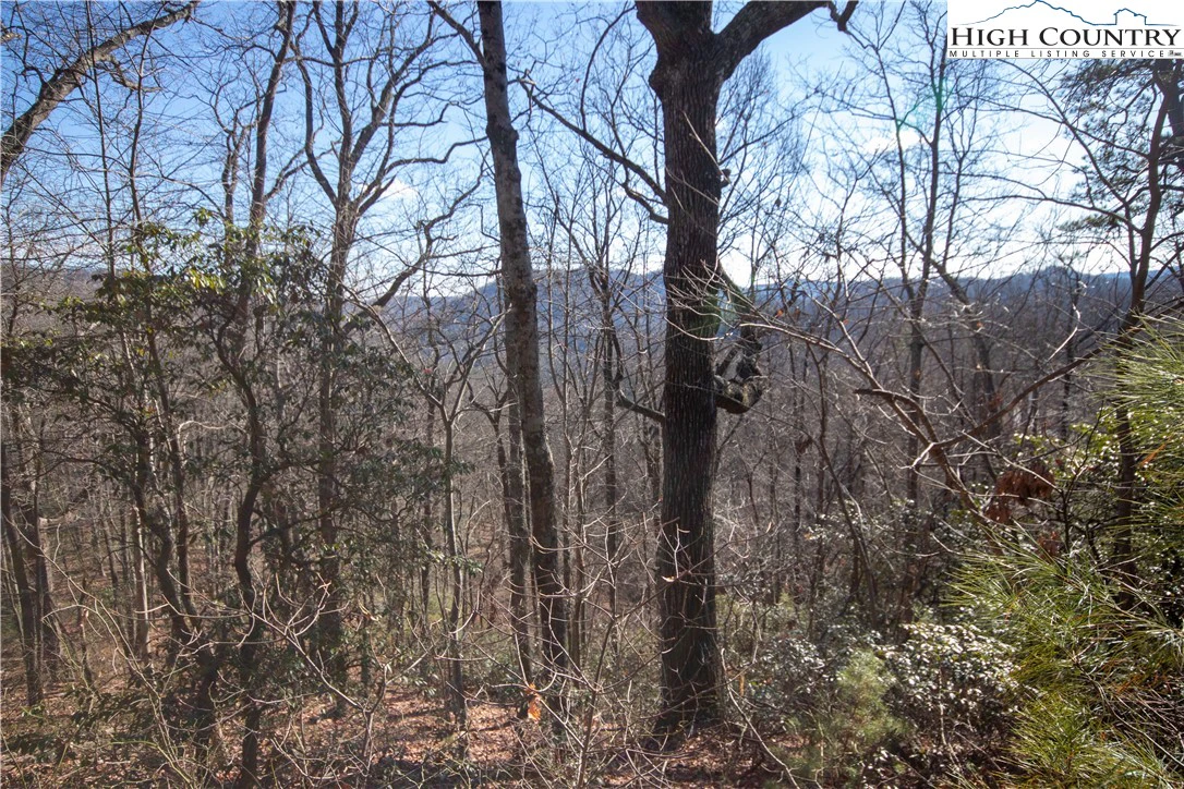 Image number 11 for the current listing