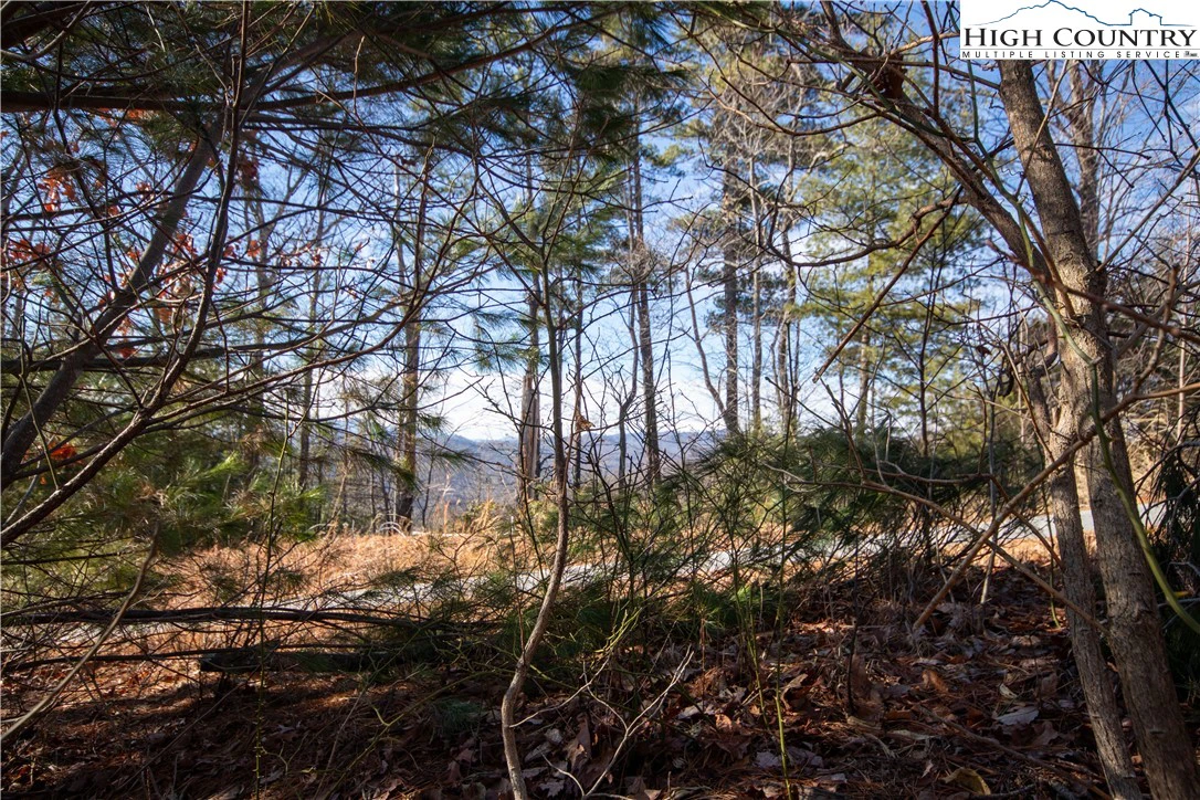 Image number 2 for the current listing