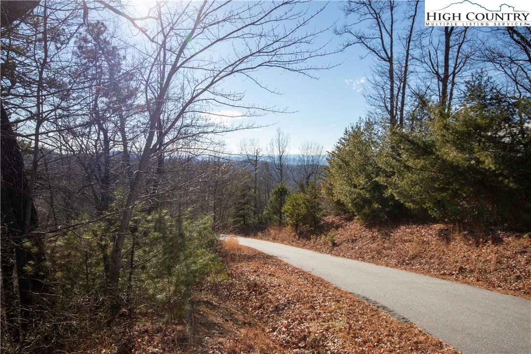 Image number 3 for the current listing