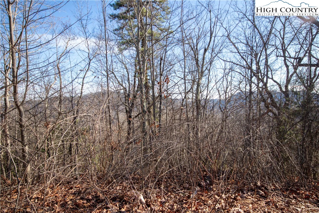 Image number 4 for the current listing