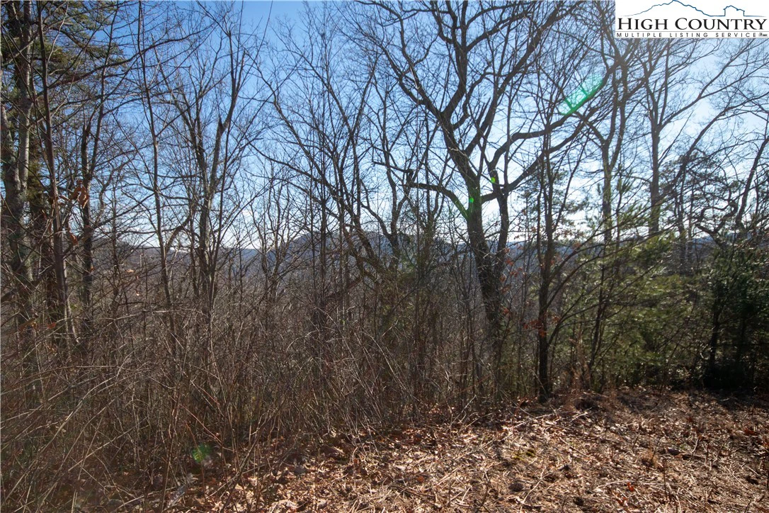 Image number 5 for the current listing