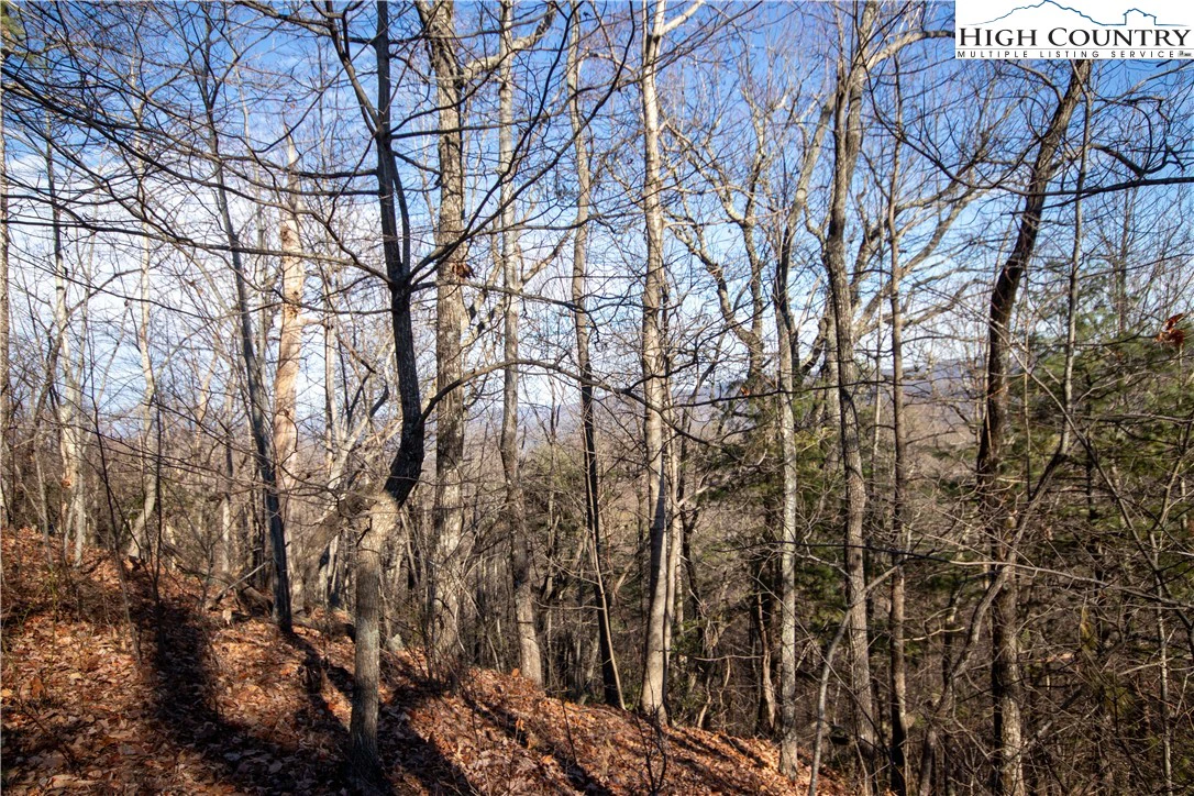 Image number 6 for the current listing