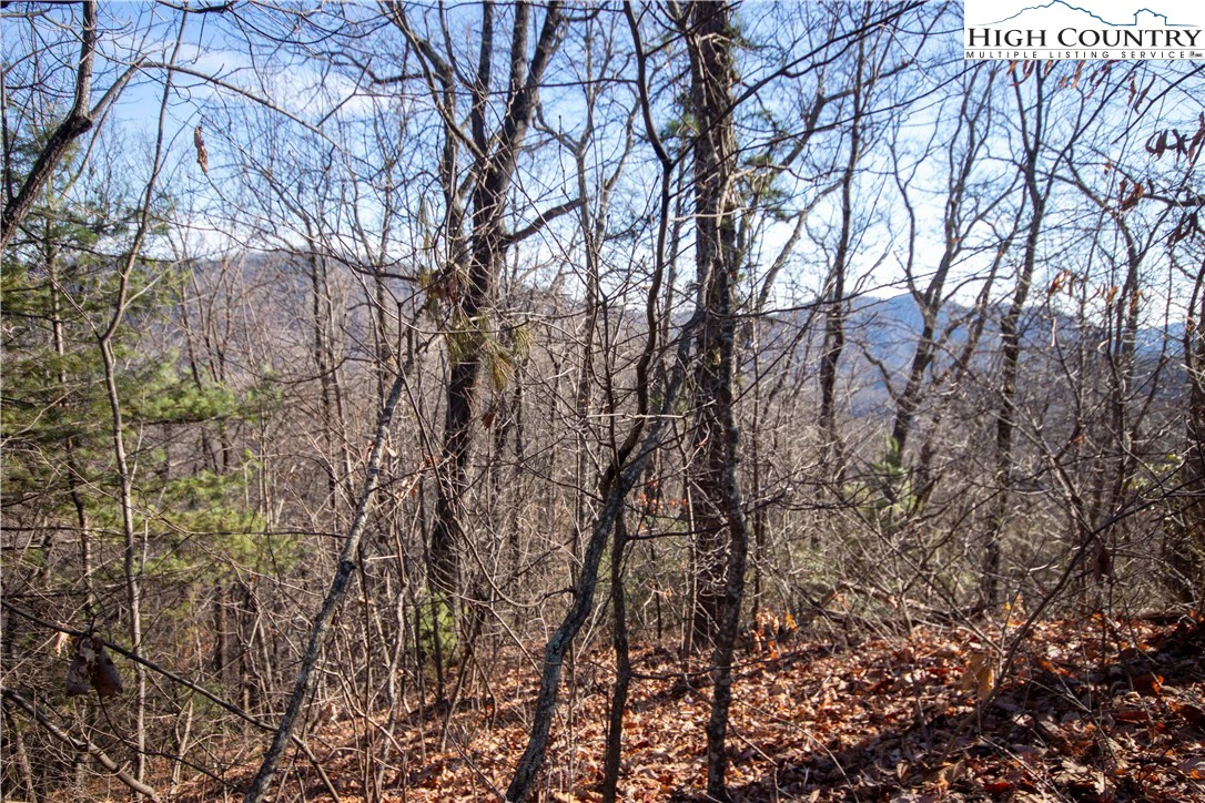Image number 1 for the current listing