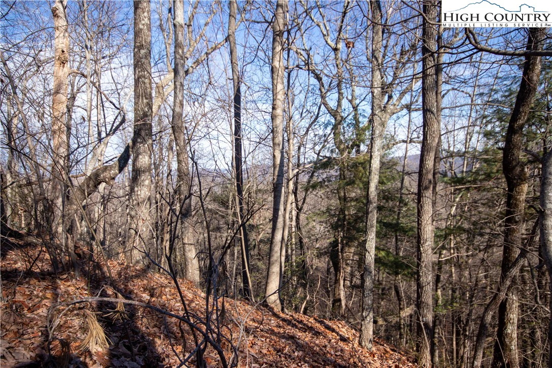 Image number 13 for the current listing