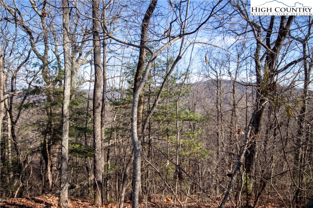 Image number 14 for the current listing