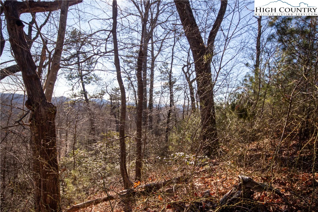 Image number 15 for the current listing