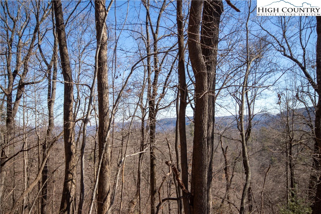 Image number 17 for the current listing