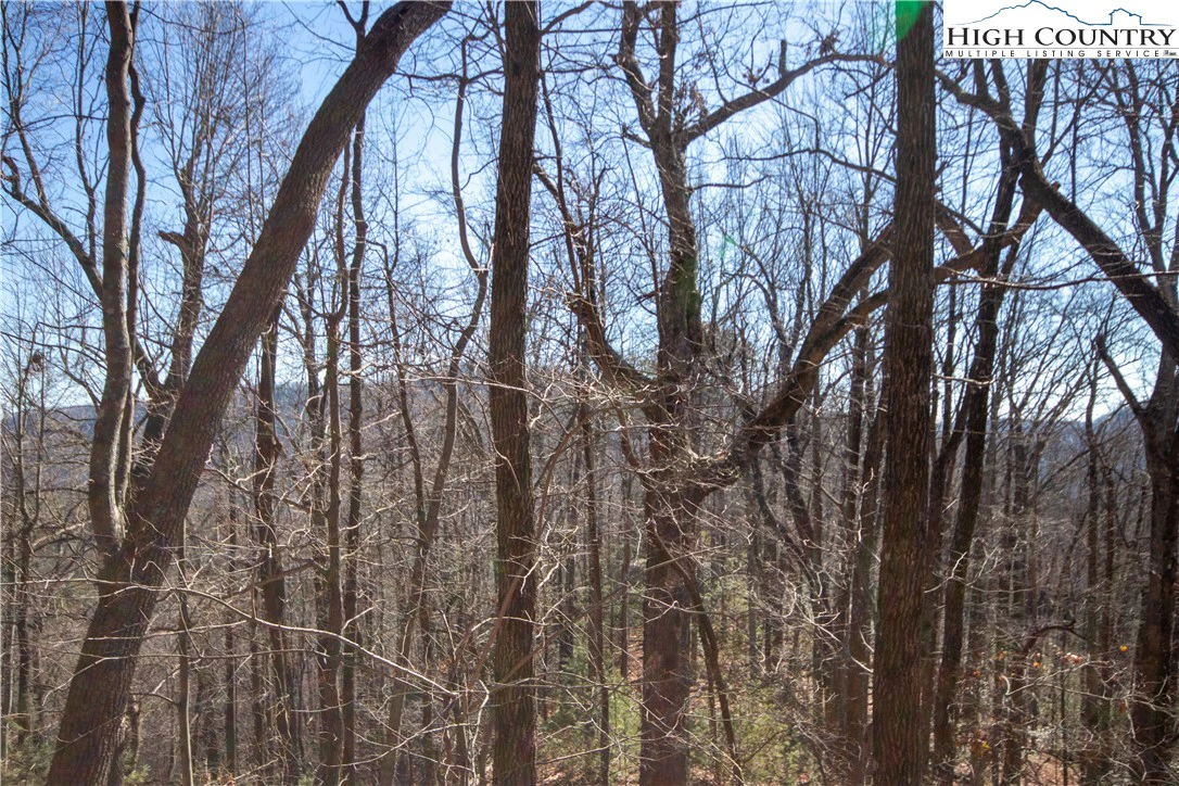 Image number 18 for the current listing